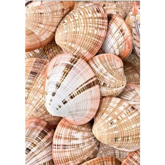 New Hot Sale Summer Beach Starfish Shell Pebble 5d Diy Diamond Painting Kits VM7336