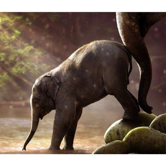 New Hot Sale Wall Decor Elephants 5d Diy Diamond Painting Kits VM7438