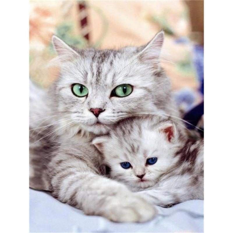 New Pet Cat Picture 5d Diy Diamond Painting Kits VM7254