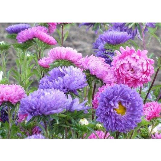 Patterns Flowers 5D Diy Diamond Painting Kits Cross Stitch Mosaic