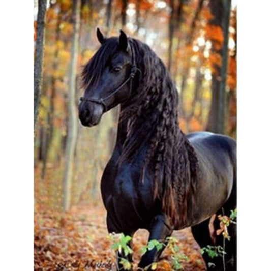 Full Drill - 5D DIY Diamond Painting Kits Autumn Forest Black Horse - NEEDLEWORK KITS