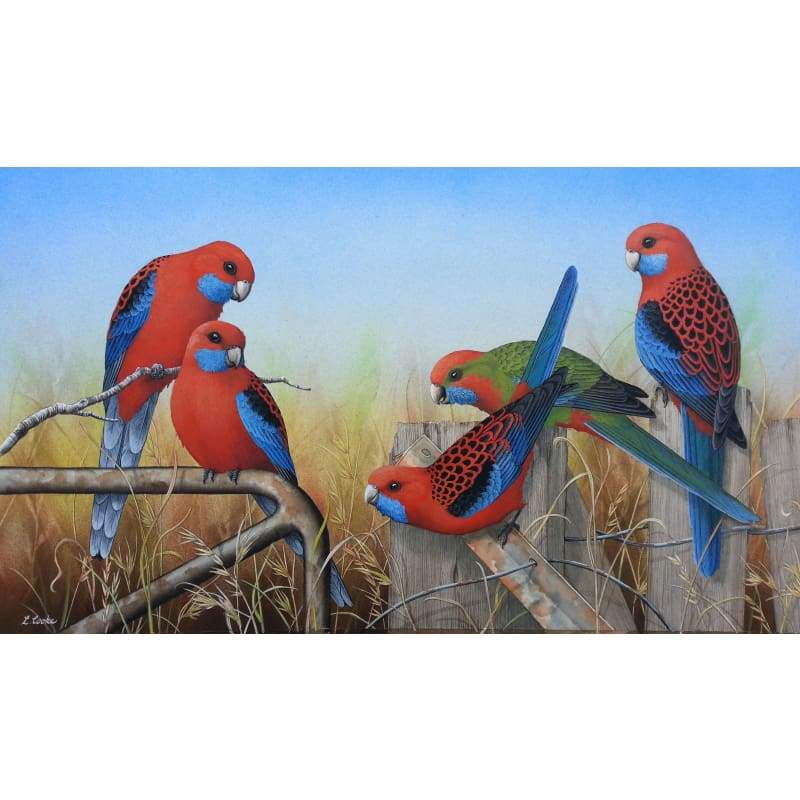 Crimson Rosellas - Full Drill Diamond Painting Kit - NEEDLEWORK KITS