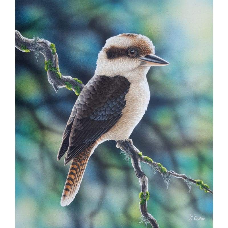 Kookaburra Backlit - Full Drill Diamond Painting Kit - NEEDLEWORK KITS