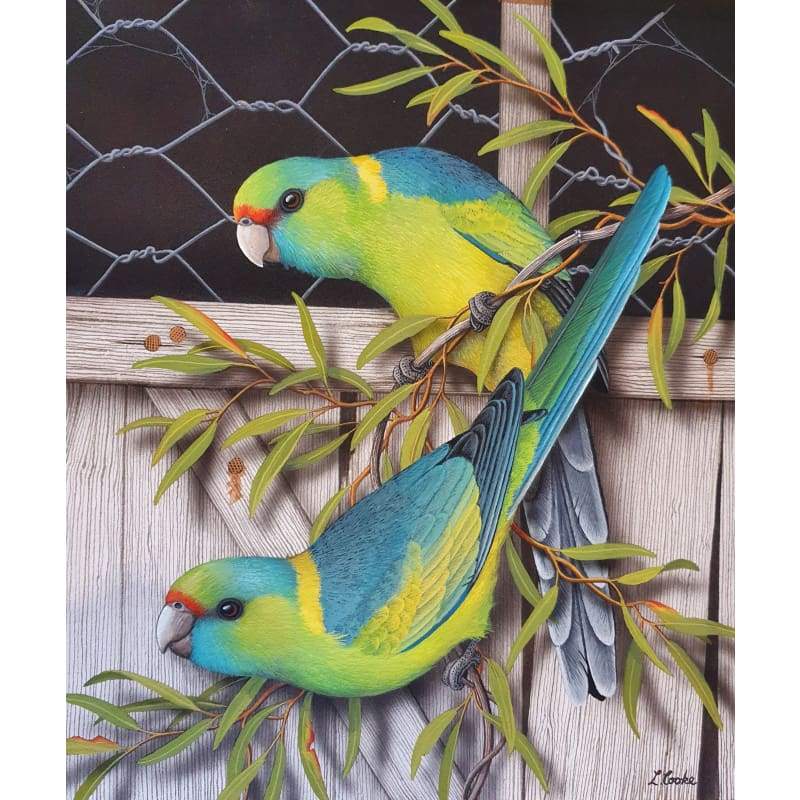 Mallee Ringnecks - Full Drill Diamond Painting Kit - NEEDLEWORK KITS