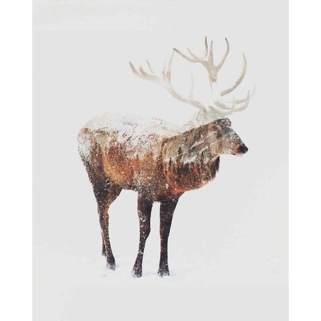 Animal Deer Diy Paint By Numbers Kits VM91124 - 2
