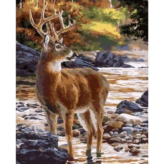Animal Deer Diy Paint By Numbers Kits ZXQ2568 - NEEDLEWORK KITS