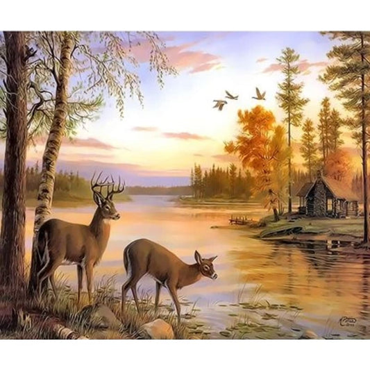 Animal Deer Diy Paint By Numbers Kits ZXQ3557 - ZX2