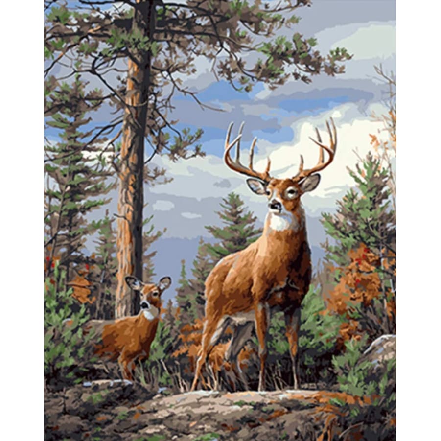 Animal Deers Look Out In The Forest Diy Paint By Numbers 