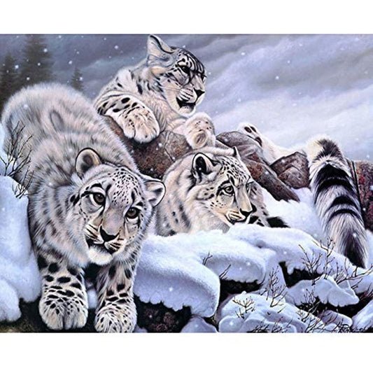 Animal Diy Paint By Numbers Kits PBN96349 - ZX2