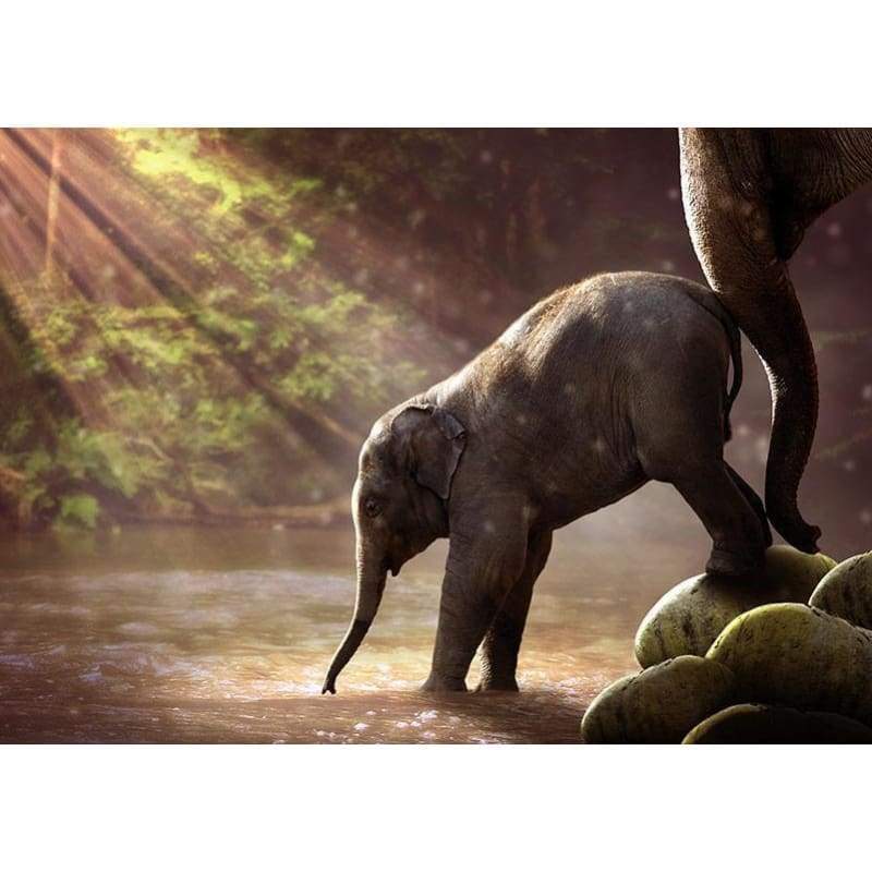Animal Elephant Diy Paint By Numbers Kits VM92287 - NEEDLEWORK KITS