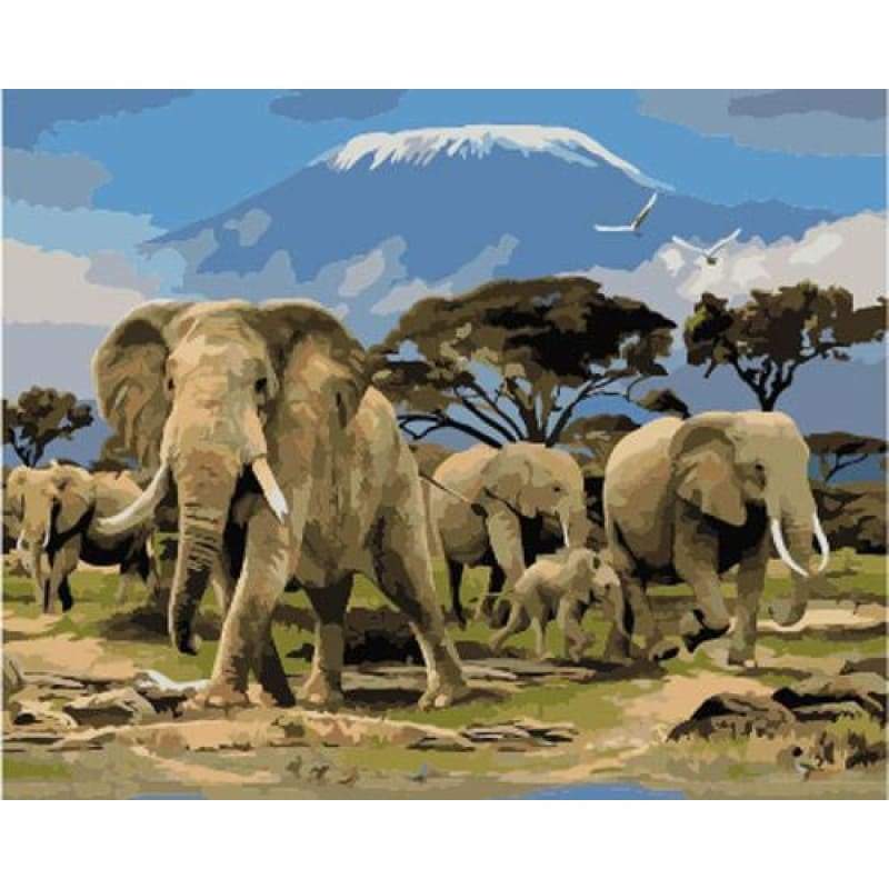 Animal Elephant Diy Paint By Numbers Kits ZXB855 VM80059 - NEEDLEWORK KITS