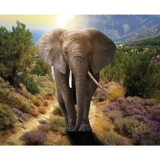 Animal Elephant Diy Paint By Numbers Kits ZXQ3539 - NEEDLEWORK KITS