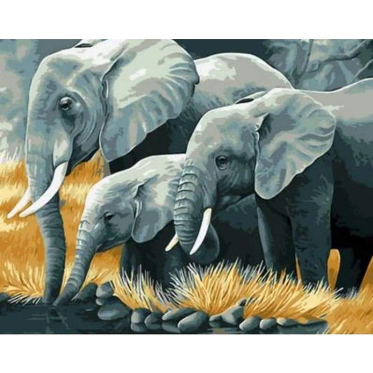 Animal Elephant Diy Paint By Numbers Kits ZXQ711 - NEEDLEWORK KITS