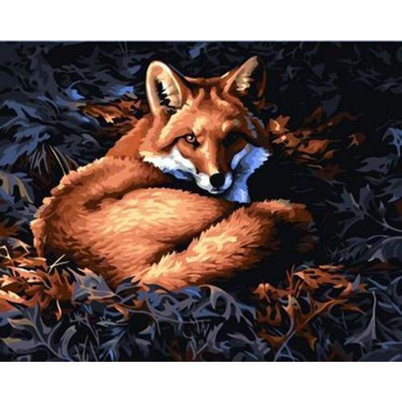 Animal Fox Diy Paint By Numbers Kits ZXB304-WM-031 - NEEDLEWORK KITS