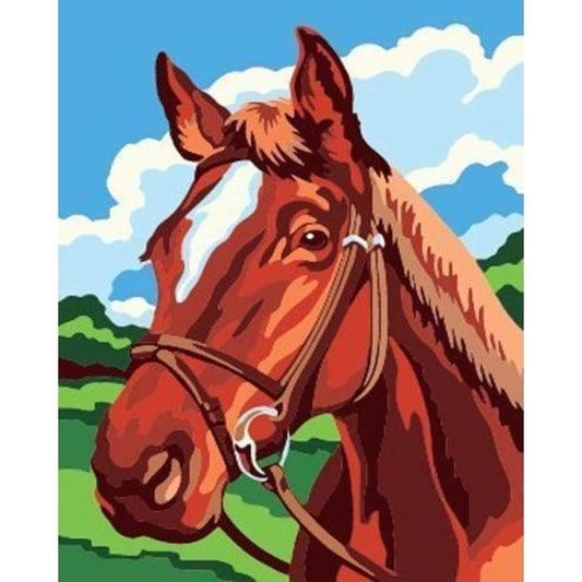 Animal Horse Diy Paint By Numbers Kits ZXB530 - NEEDLEWORK KITS