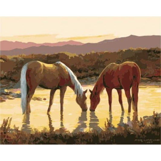 Animal Horse Diy Paint By Numbers Kits ZXB849 - NEEDLEWORK KITS