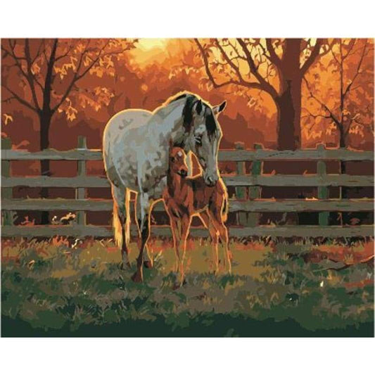 Animal Horse Diy Paint By Numbers Kits ZXB868 - NEEDLEWORK KITS