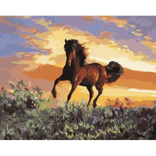 Animal Horse Diy Paint By Numbers Kits ZXB961 - NEEDLEWORK KITS