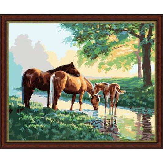 Animal Horse Diy Paint By Numbers Kits ZXE028 - NEEDLEWORK KITS