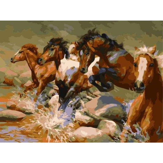 Animal Horse Diy Paint By Numbers Kits ZXE392 - NEEDLEWORK KITS