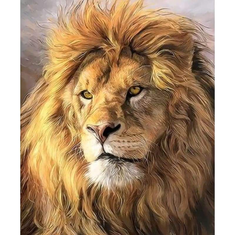 Animal Lion Diy Paint By Numbers Kits Uk ZXQ3287 VM80043 - NEEDLEWORK KITS