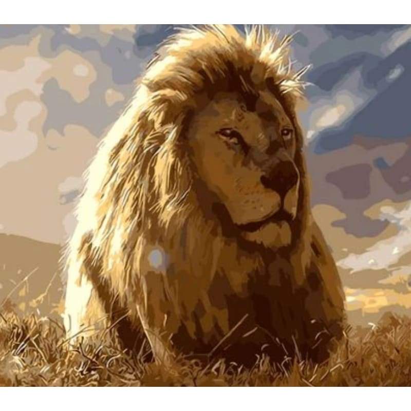 Animal Lion Diy Paint By Numbers Kits ZXQ279 - NEEDLEWORK KITS