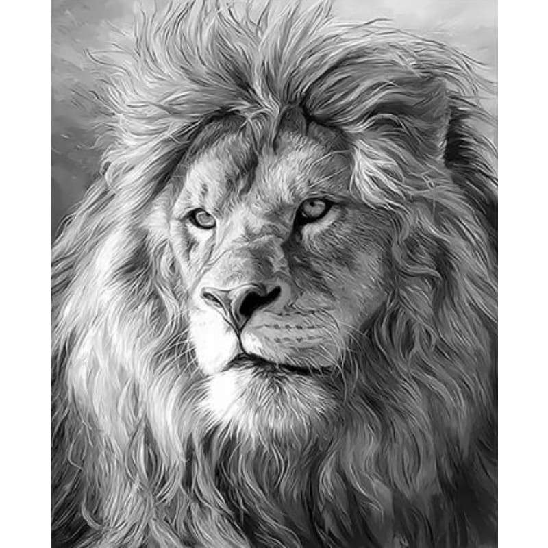 Animal Lion Diy Paint By Numbers Kits ZXQ3288 - NEEDLEWORK KITS