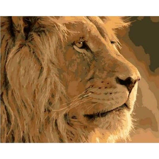 Animal Lion Diy Paint By Numbers Kits ZXQ735 - NEEDLEWORK KITS