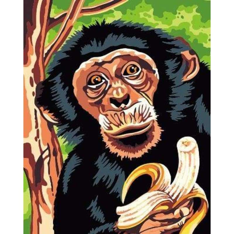 Animal Monkey Diy Paint By Numbers Kits ZXB711 - NEEDLEWORK KITS