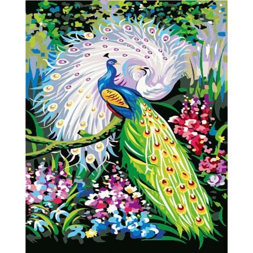 Animal Peacock Diy Paint By Numbers Kits ZXE266 - ZX2