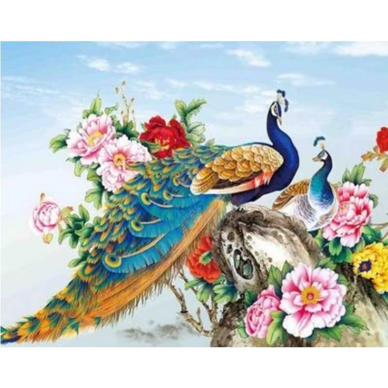 Animal Peacocks Diy Paint By Numbers Kits ZXQ2144