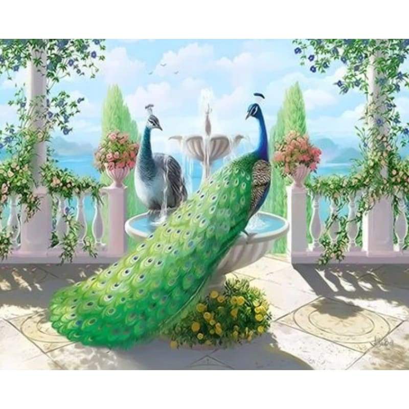 Animal Peacocks Diy Paint By Numbers Kits ZXQ3326