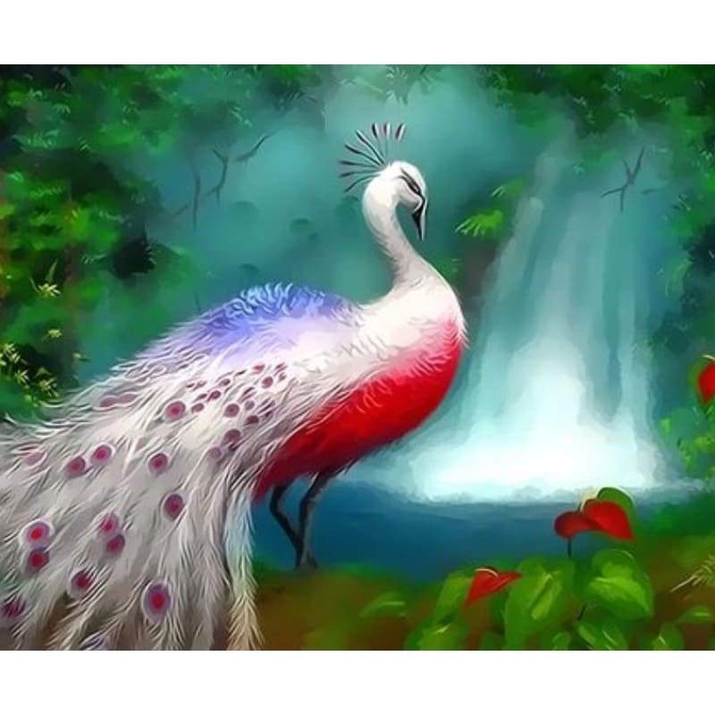 Animal Peacocks Diy Paint By Numbers Kits ZXQ3653