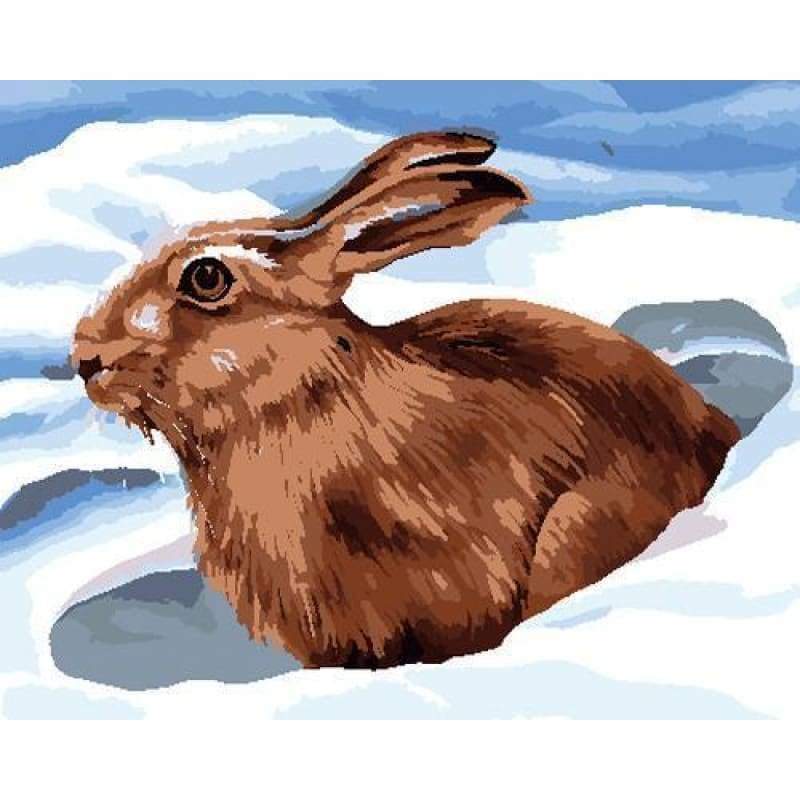 Animal Rabbit Diy Paint By Numbers Kits ZXB787 - NEEDLEWORK KITS