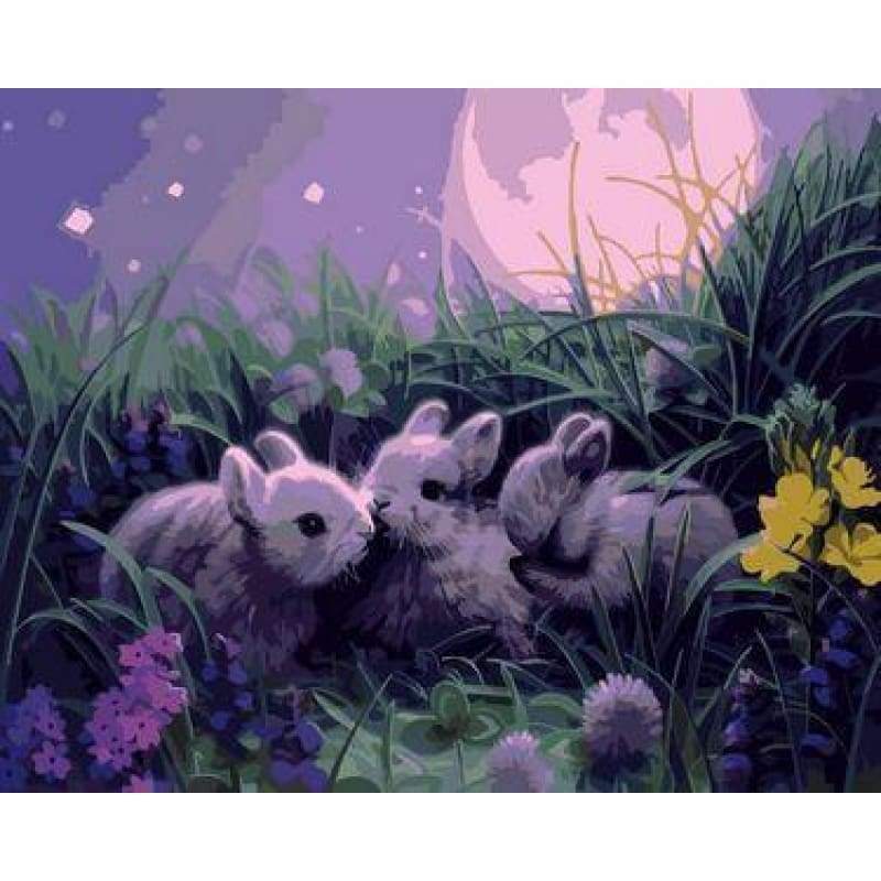Animal Rabbit Diy Paint By Numbers Kits ZXE299 - NEEDLEWORK KITS