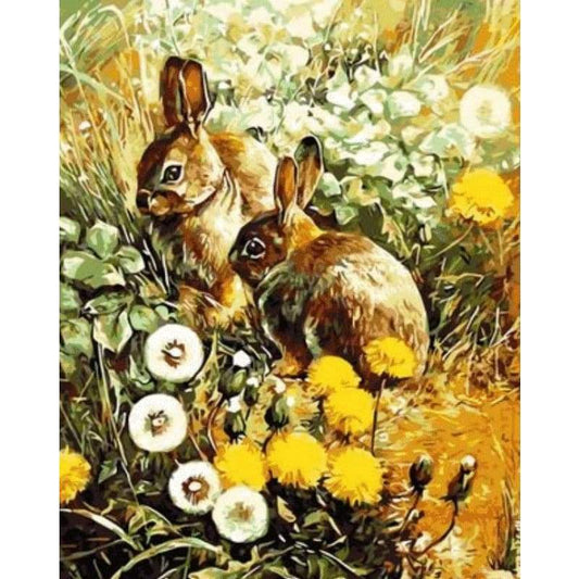 Animal Rabbit Diy Paint By Numbers Kits ZXQ783 - NEEDLEWORK KITS