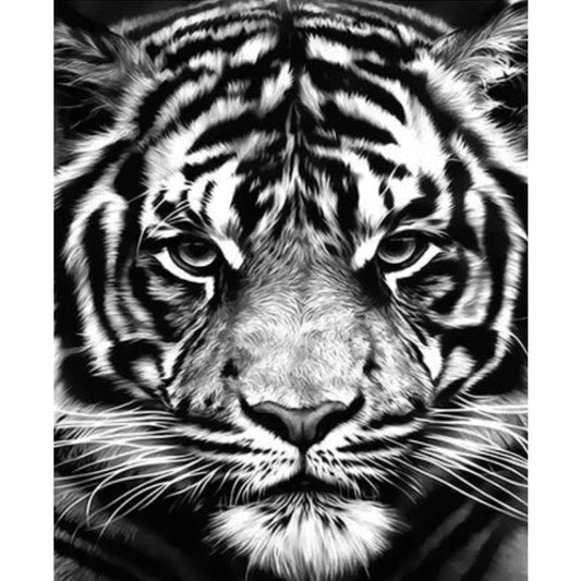 Animal Tiger Diy Paint By Numbers Kits Uk ZXQ3160 VM80042 - NEEDLEWORK KITS