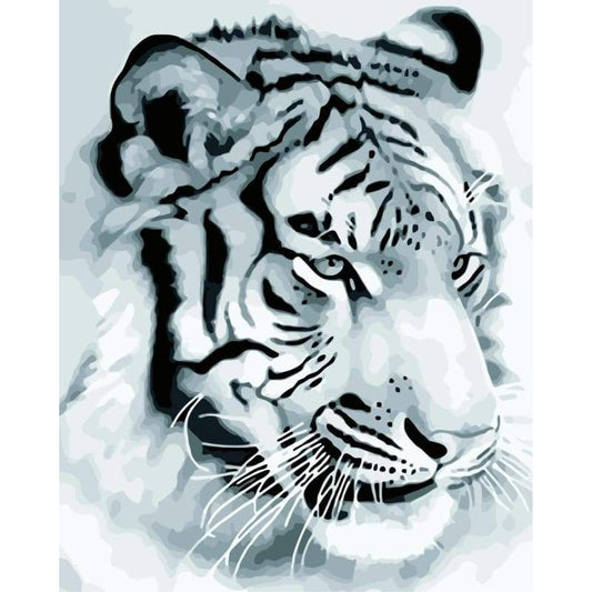 Animal Tiger Diy Paint By Numbers Kits WM-1192 - NEEDLEWORK KITS