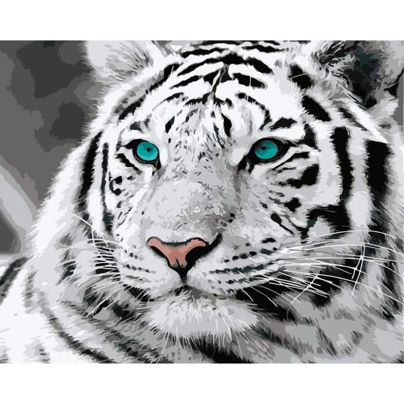 Animal Tiger Diy Paint By Numbers Kits WM-1222 - NEEDLEWORK KITS