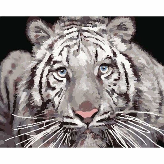 Animal Tiger Diy Paint By Numbers Kits ZXB781 - NEEDLEWORK KITS