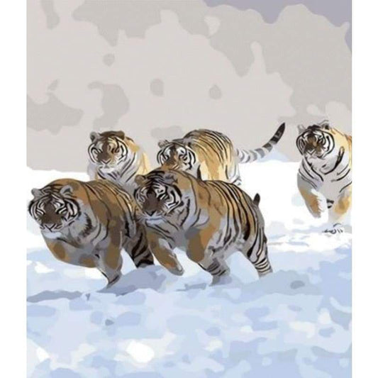 Animal Tiger Diy Paint By Numbers Kits ZXQ006 - NEEDLEWORK KITS