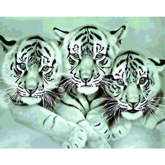 Animal Tiger Diy Paint By Numbers Kits ZXQ049 - NEEDLEWORK KITS