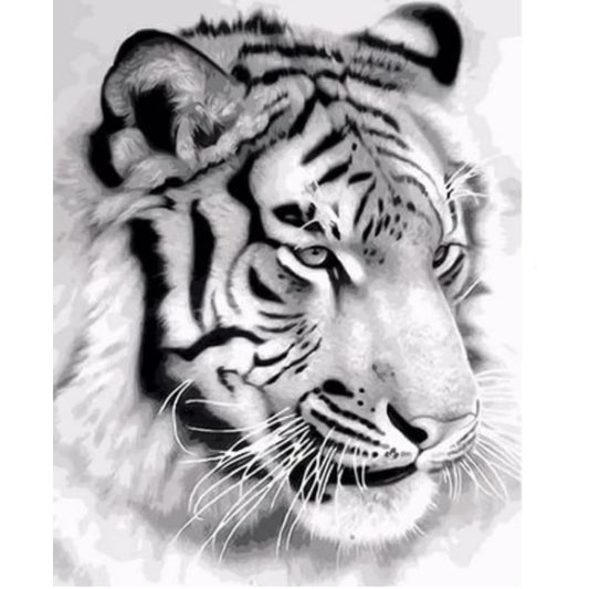 Animal Tiger Diy Paint By Numbers Kits ZXQ1789 - NEEDLEWORK KITS