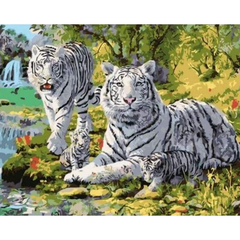 Animal Tiger Diy Paint By Numbers Kits ZXQ2102 - NEEDLEWORK KITS