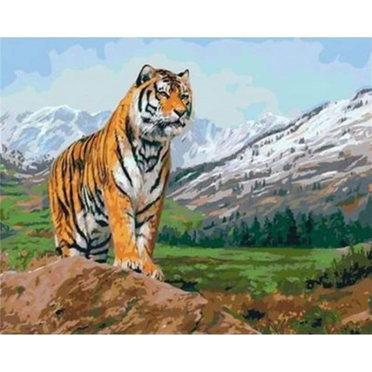 Animal Tiger Diy Paint By Numbers Kits ZXQ2208 - NEEDLEWORK KITS