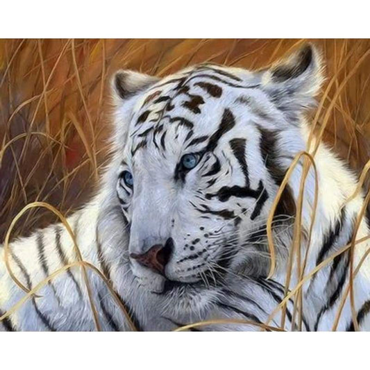 Animal Tiger Diy Paint By Numbers Kits ZXQ2362 - NEEDLEWORK KITS