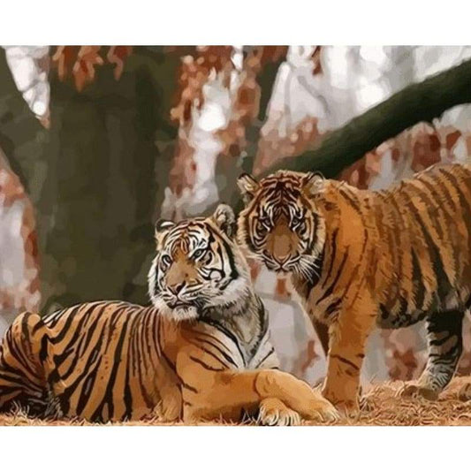 Animal Tiger Diy Paint By Numbers Kits ZXQ2857 - NEEDLEWORK KITS