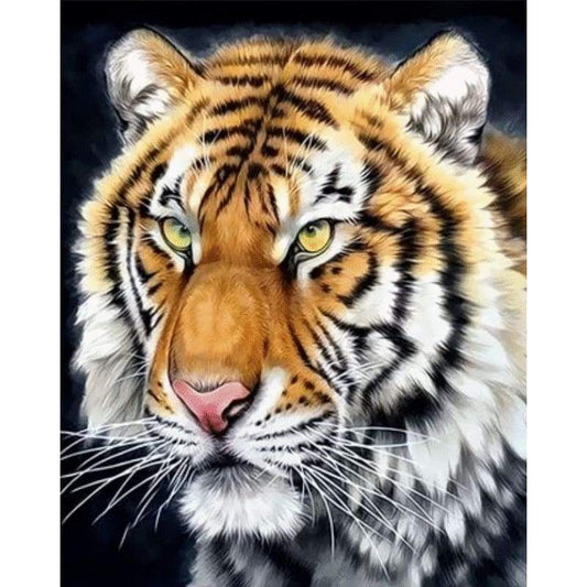 Animal Tiger Diy Paint By Numbers Kits ZXQ3429 - NEEDLEWORK KITS