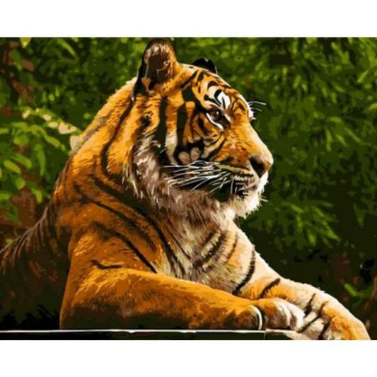 Animal Tiger Diy Paint By Numbers Kits ZXQ788 - NEEDLEWORK KITS
