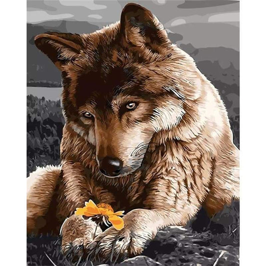 Animal Wolf Diy Paint By Numbers Kits VM91625 - NEEDLEWORK KITS
